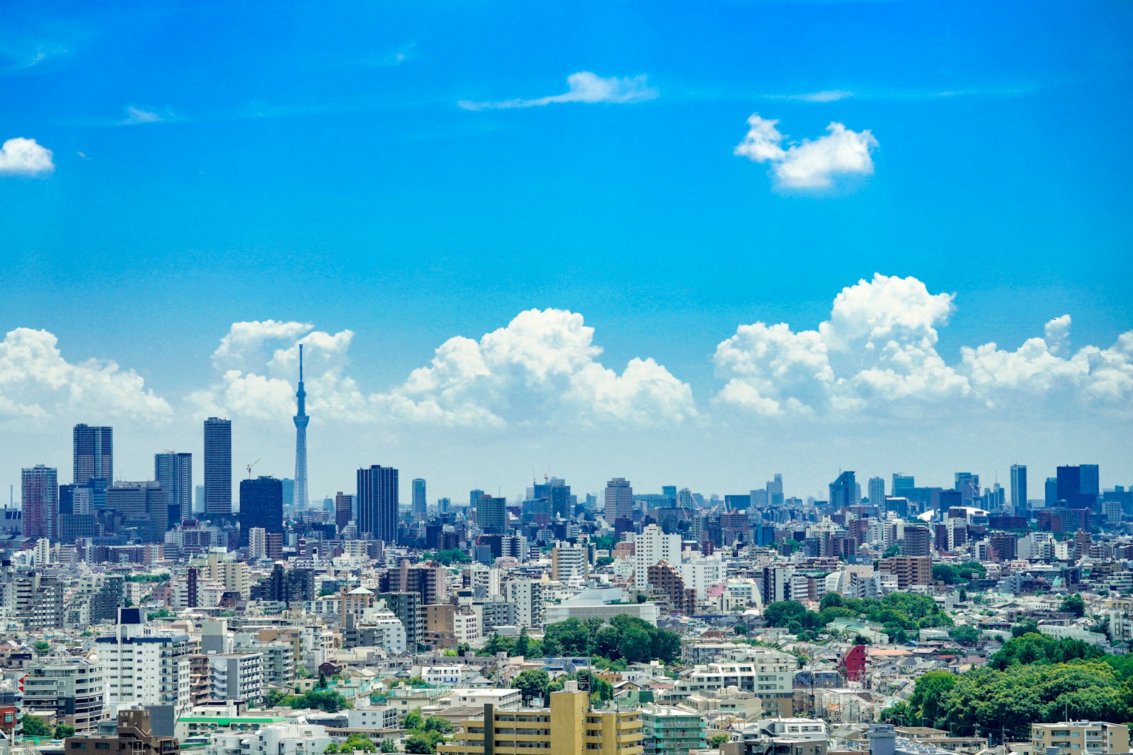 concrete high-rise buildings