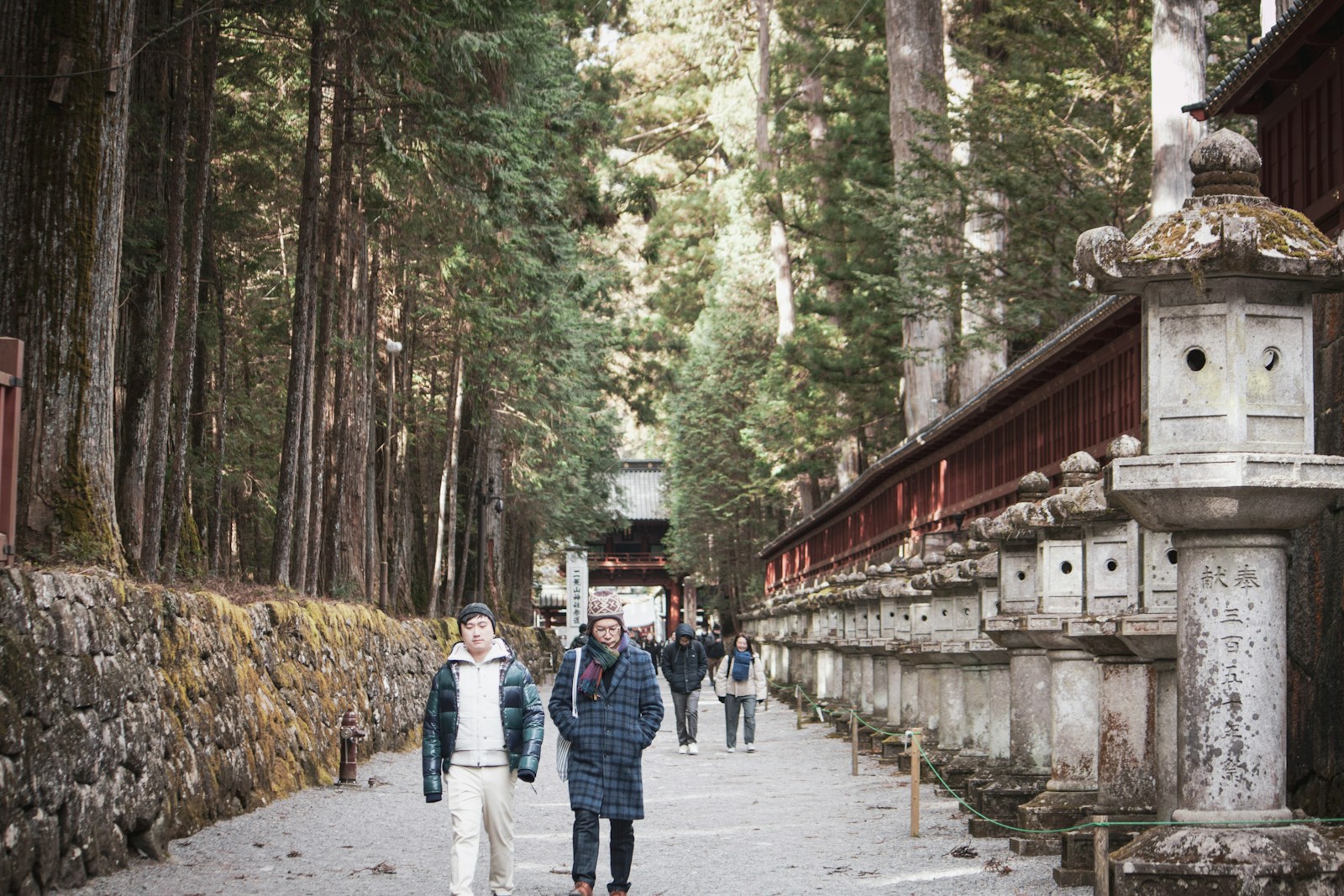 A group of people walking down a path in a forest